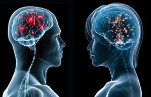Brain Power: Man vs. Woman